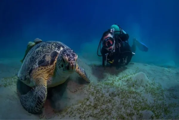 Snorkeling Trip to Giftun Island in Hurghada - Image 2