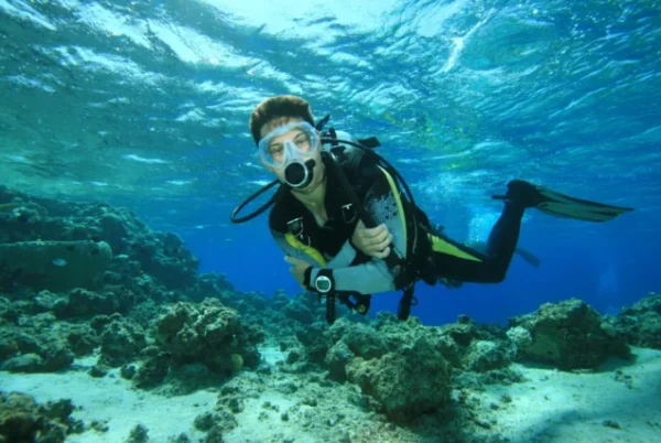 Snorkeling Trip At Port Ghalib Marina from Marsa Alam - Image 4