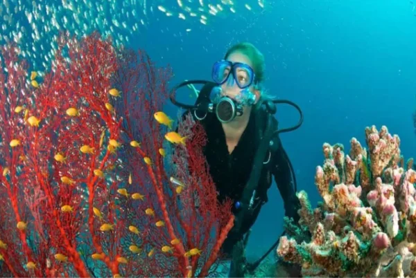 Snorkeling Trip to Giftun Island in Hurghada - Image 4
