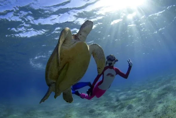 Snorkeling Trip to Giftun Island in Hurghada - Image 6