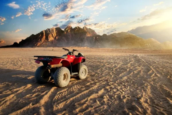 Morning Quad Bike Desert Safari - Image 6