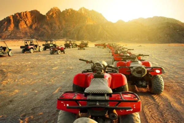 Desert Safari Trip by Quad Bike - Image 3